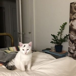 Meet your Posher, Jane